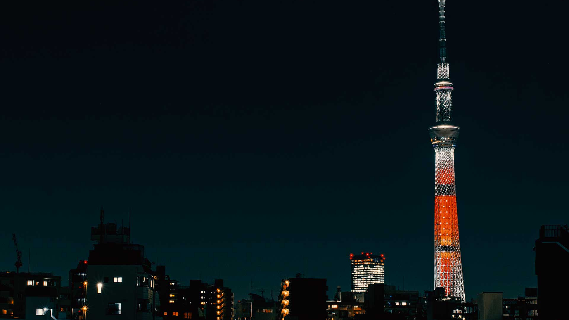 Der deutsche Grafikdesigner und Typograf Wolfgang Beinert erhält zum dritten Mal die begehrte asiatische Auszeichnung des Tokyo Type Directors Club (TTDC).