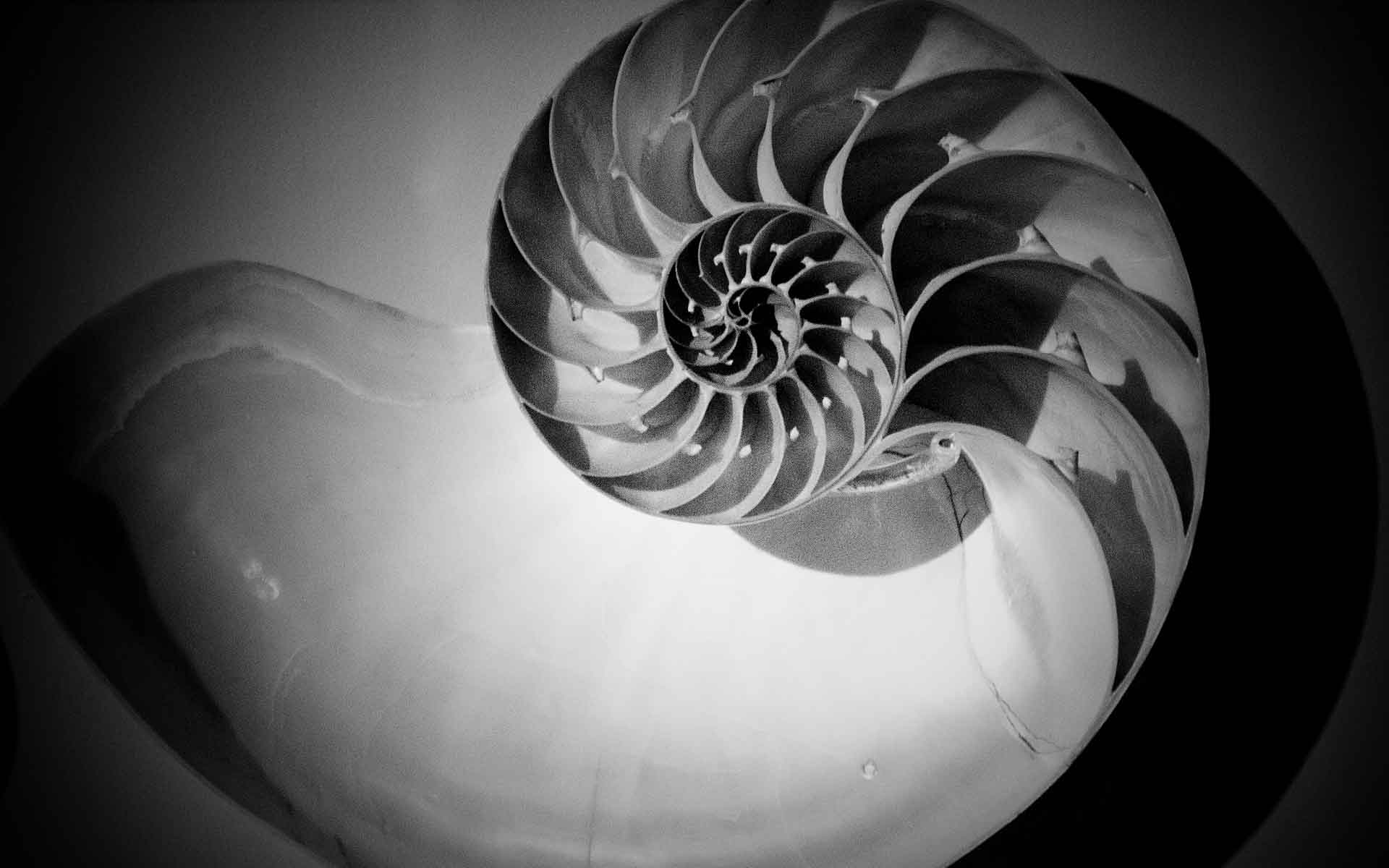 Typografische Gestaltung einer Anstellung für das Museum für Kommunikation, Berlin.