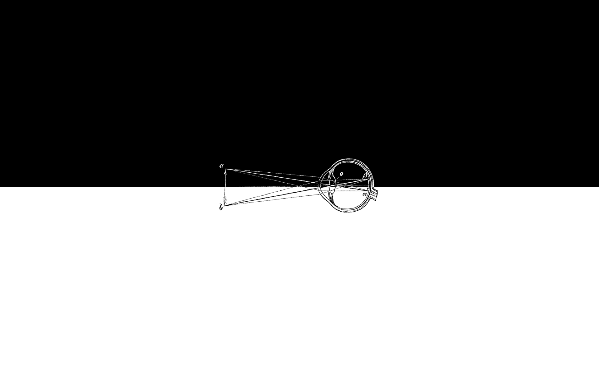 FAQ | Antworten auf häufige Fragen zu Leistungen, Vergütung, Projektablauf und Zusammenarbeit mit dem Grafik- und Kommunikationsdesigner Wolfgang Beinert.